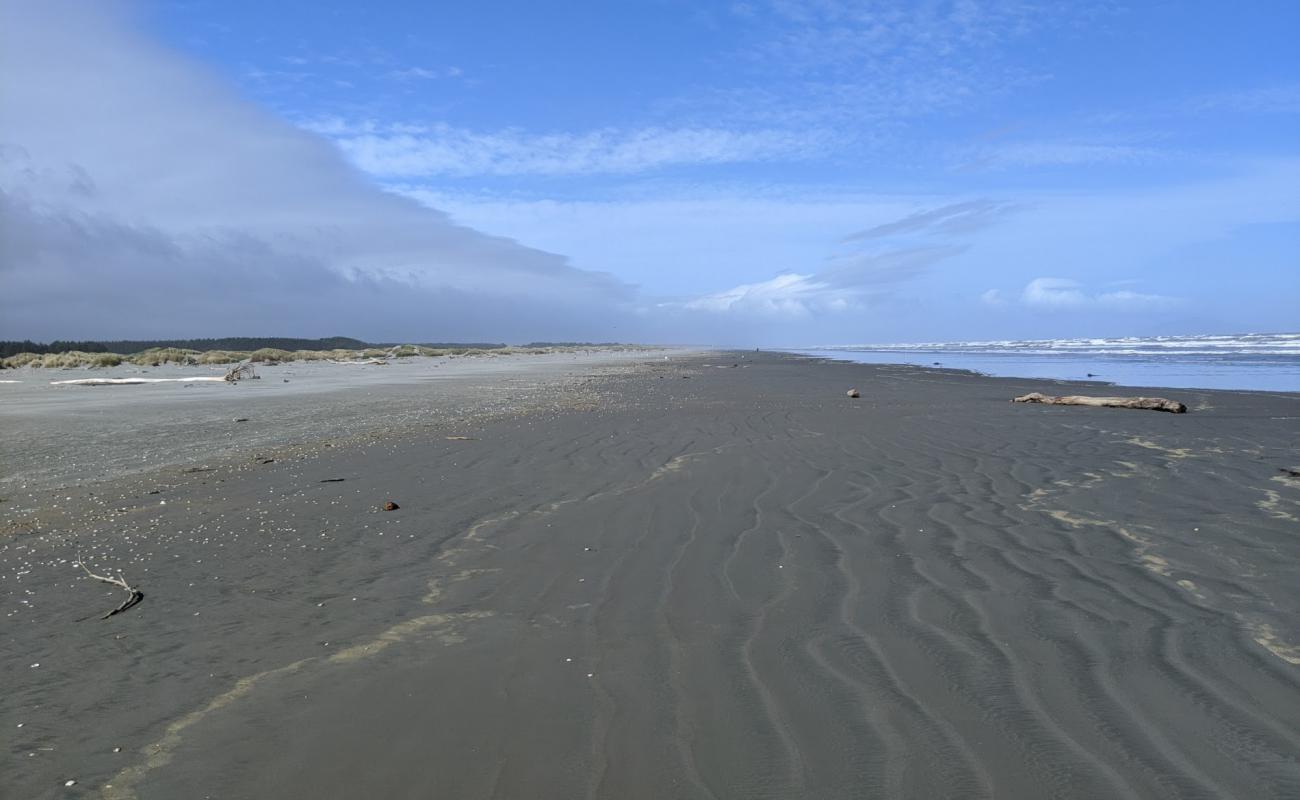 Photo de Waikawa Beach avec sable gris de surface