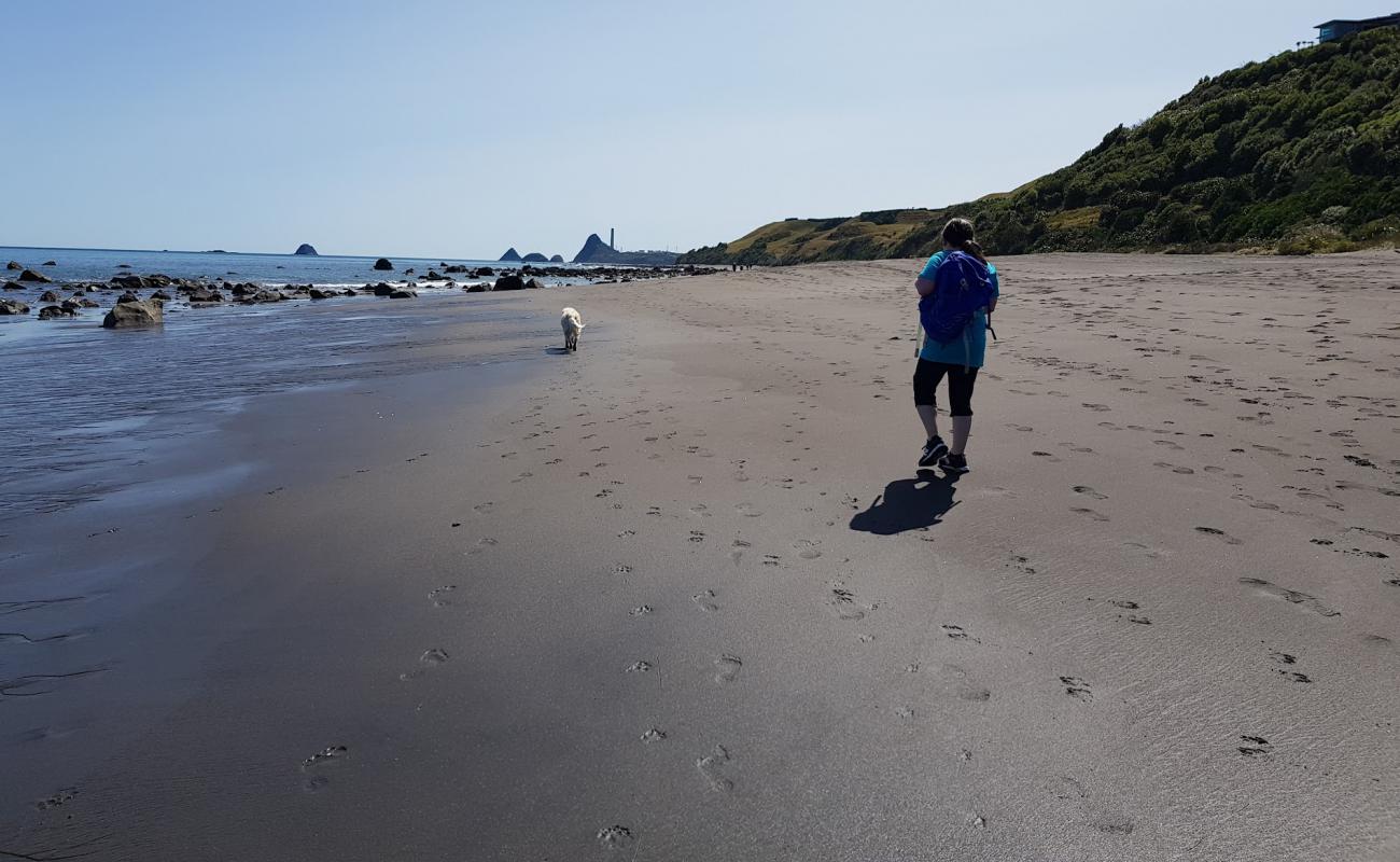 Photo de Tapuae Beach avec sable gris de surface