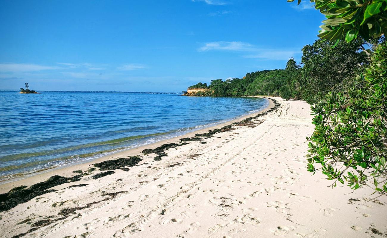 Photo de Matakawau Beach avec sable beige de surface