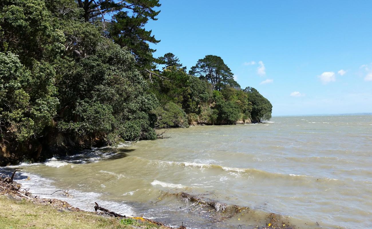 Photo de Manukau Beach avec sable beige & galets de surface