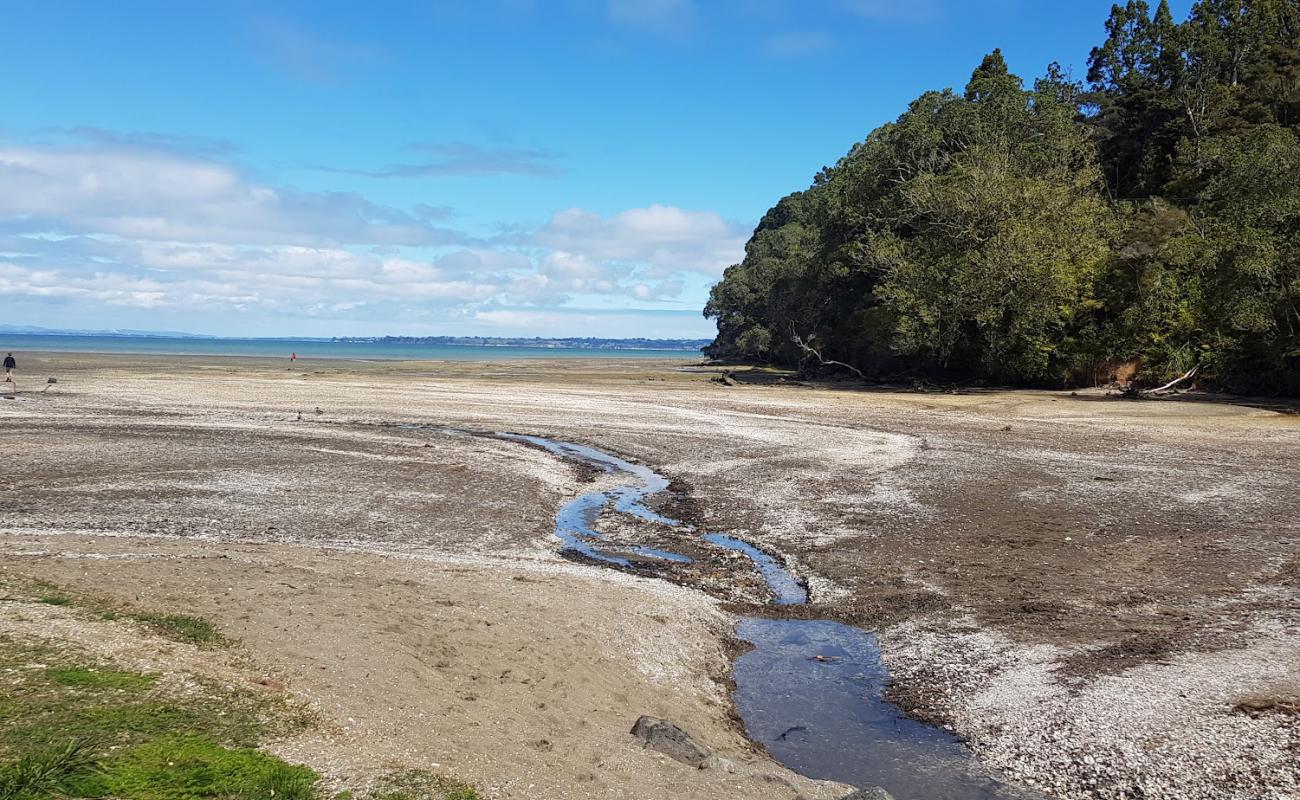 Photo de Titirangi Beach avec sable beige & galets de surface