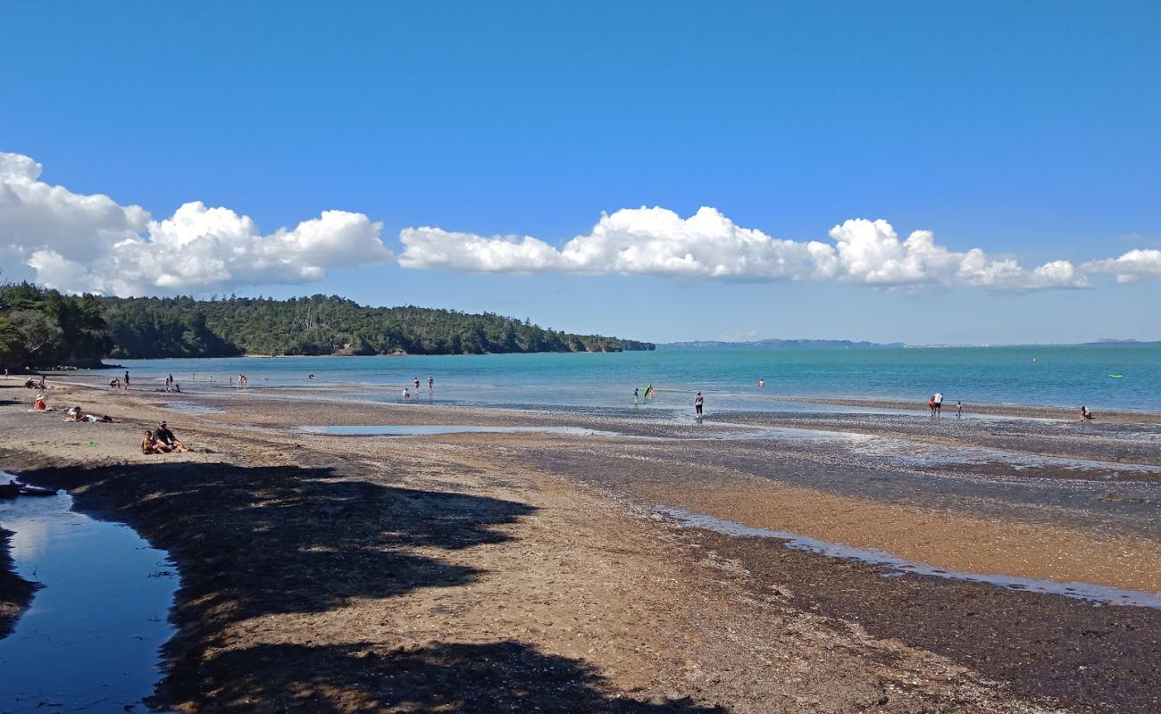 Photo de Cornwallis Beach avec sable beige & galets de surface