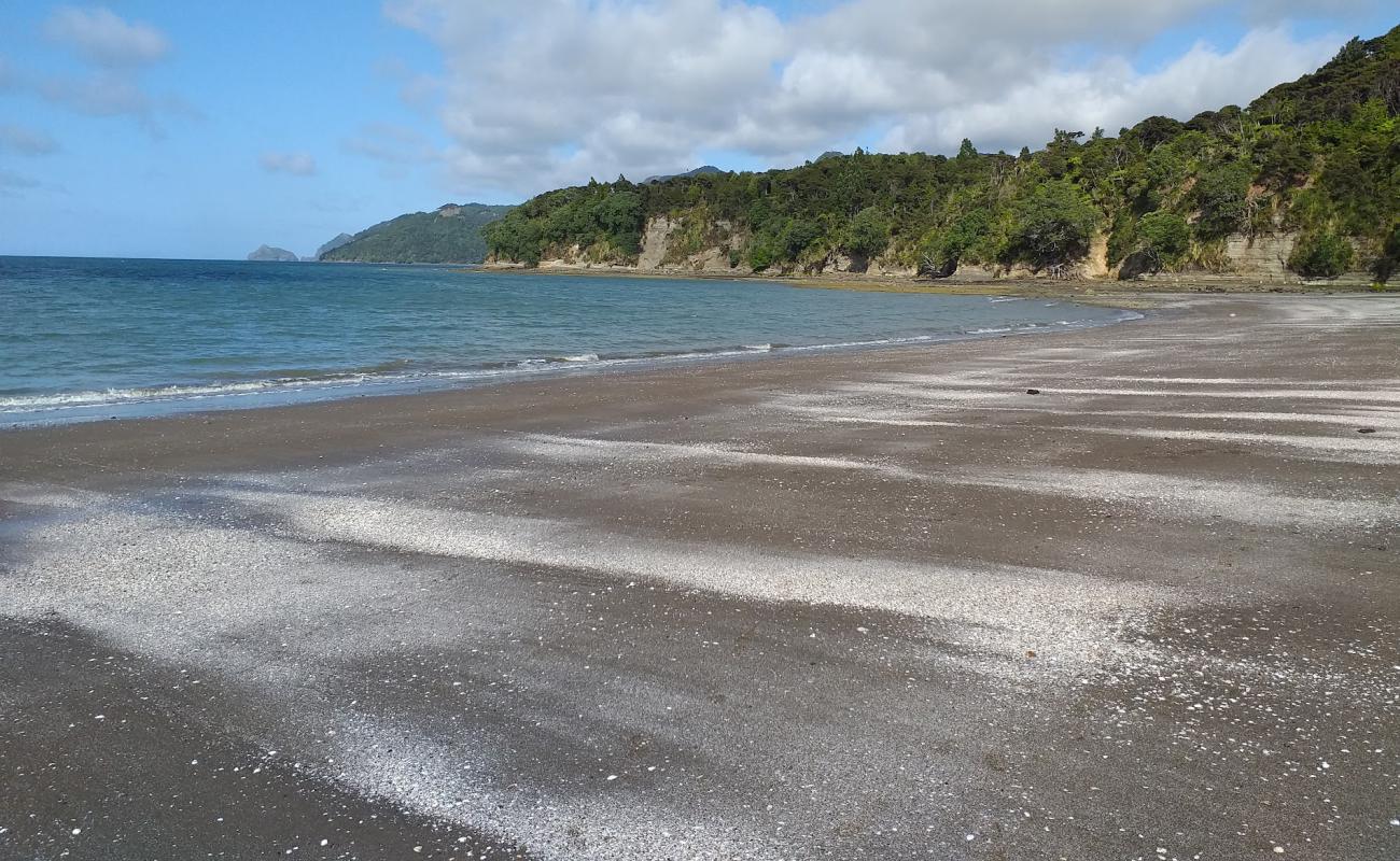 Photo de Kaitarakihi Beach avec sable gris de surface