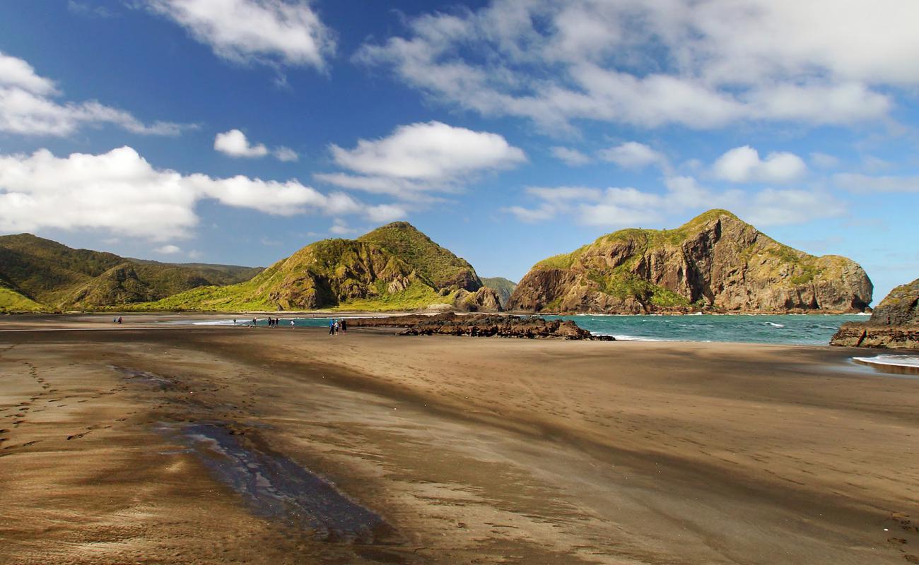 Photo de Whatipu Beach avec sable gris de surface