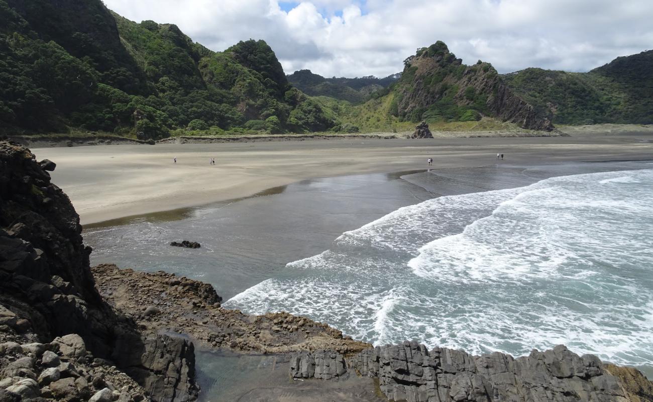 Photo de Karekare Beach avec sable gris de surface