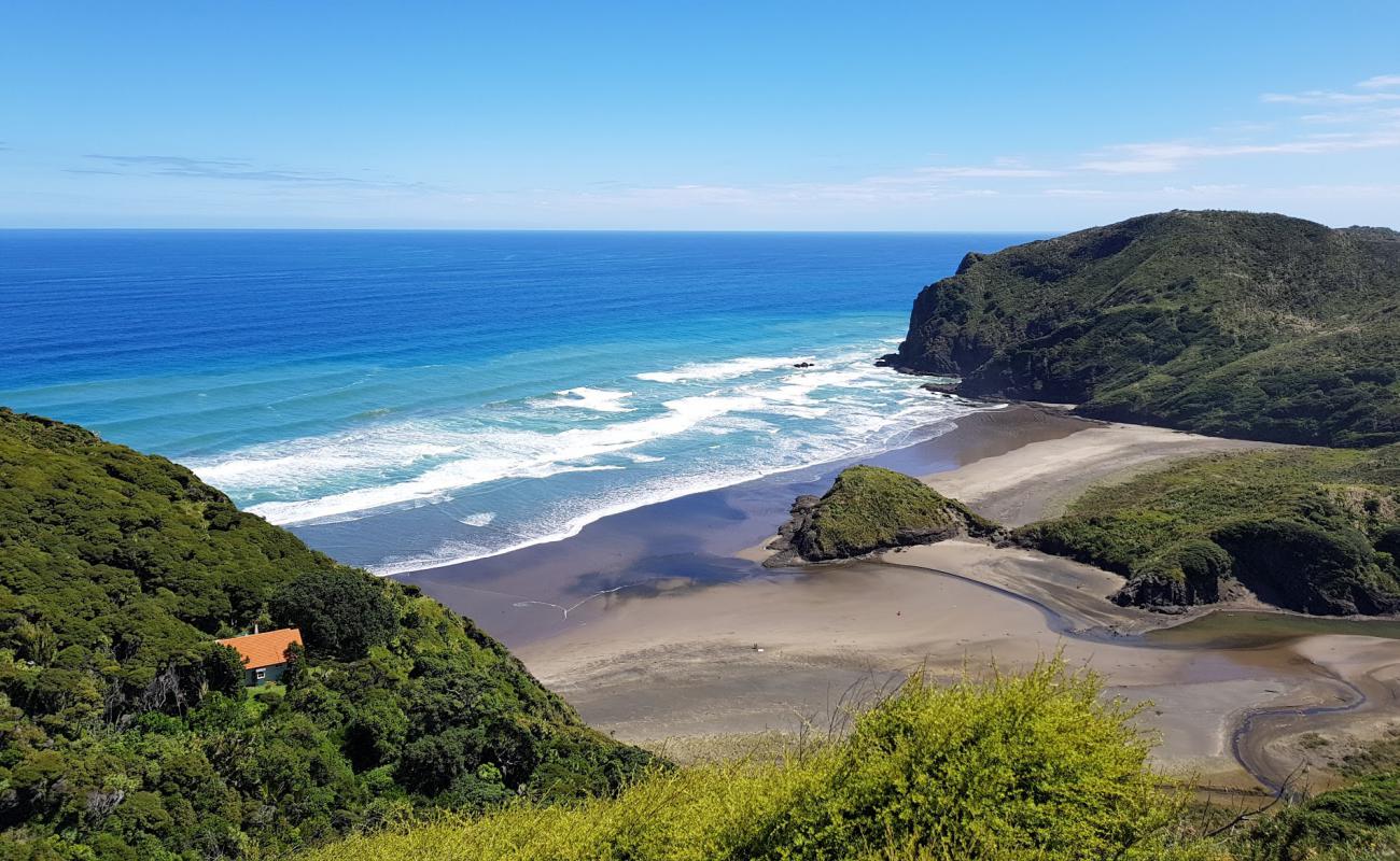 Photo de Anawhata Beach avec sable fin gris de surface