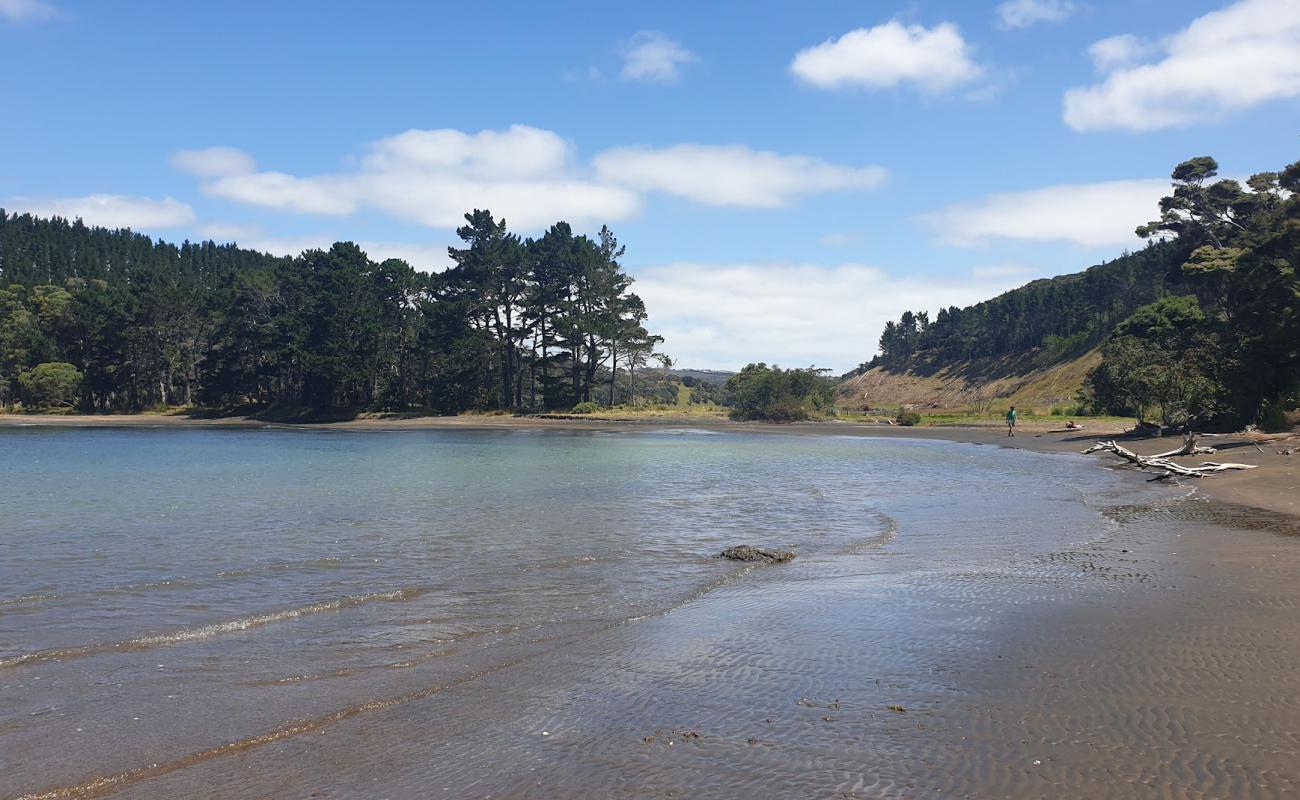 Photo de Mosquito Beach avec sable gris de surface