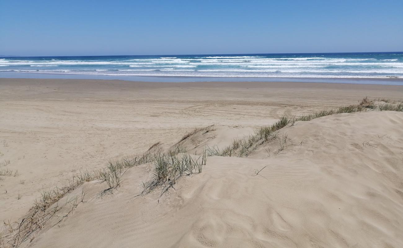 Photo de 90 Mile Beach avec sable fin et lumineux de surface