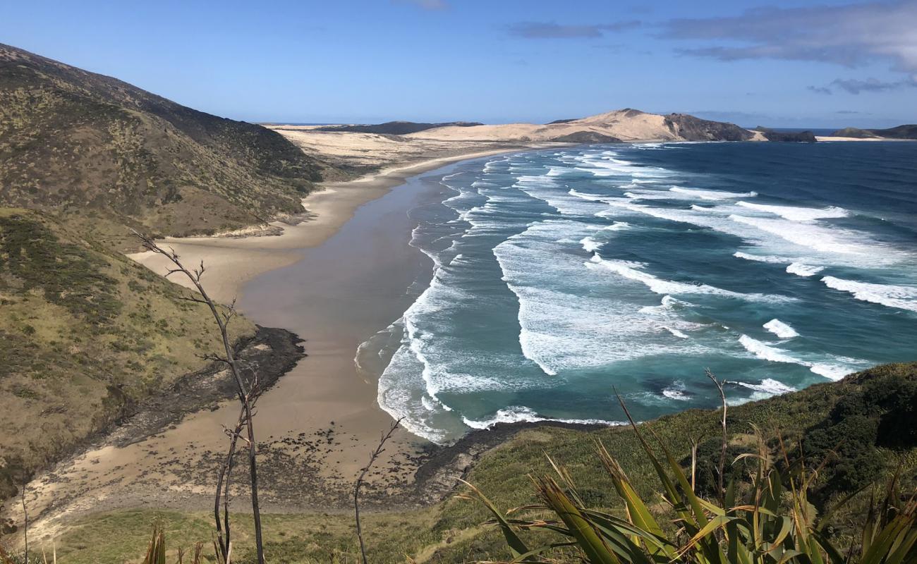 Photo de Te Werahi Beach avec sable beige de surface