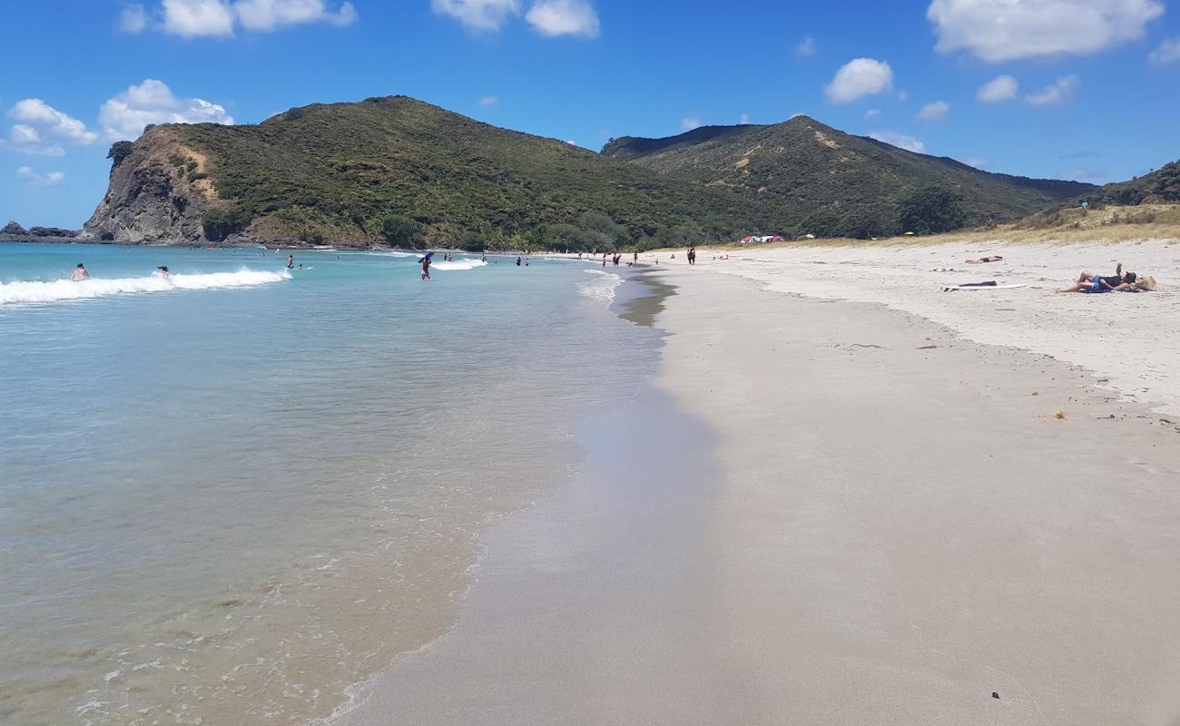 Photo de Tapotupotu Beach avec sable fin et lumineux de surface