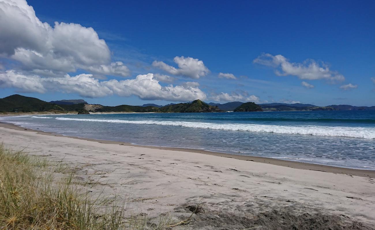 Photo de Medlands Beach avec sable beige fin de surface