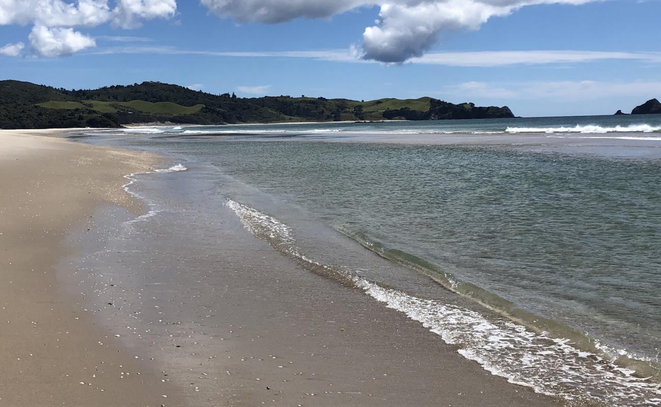 Photo de Kaitoke Beach avec sable beige de surface
