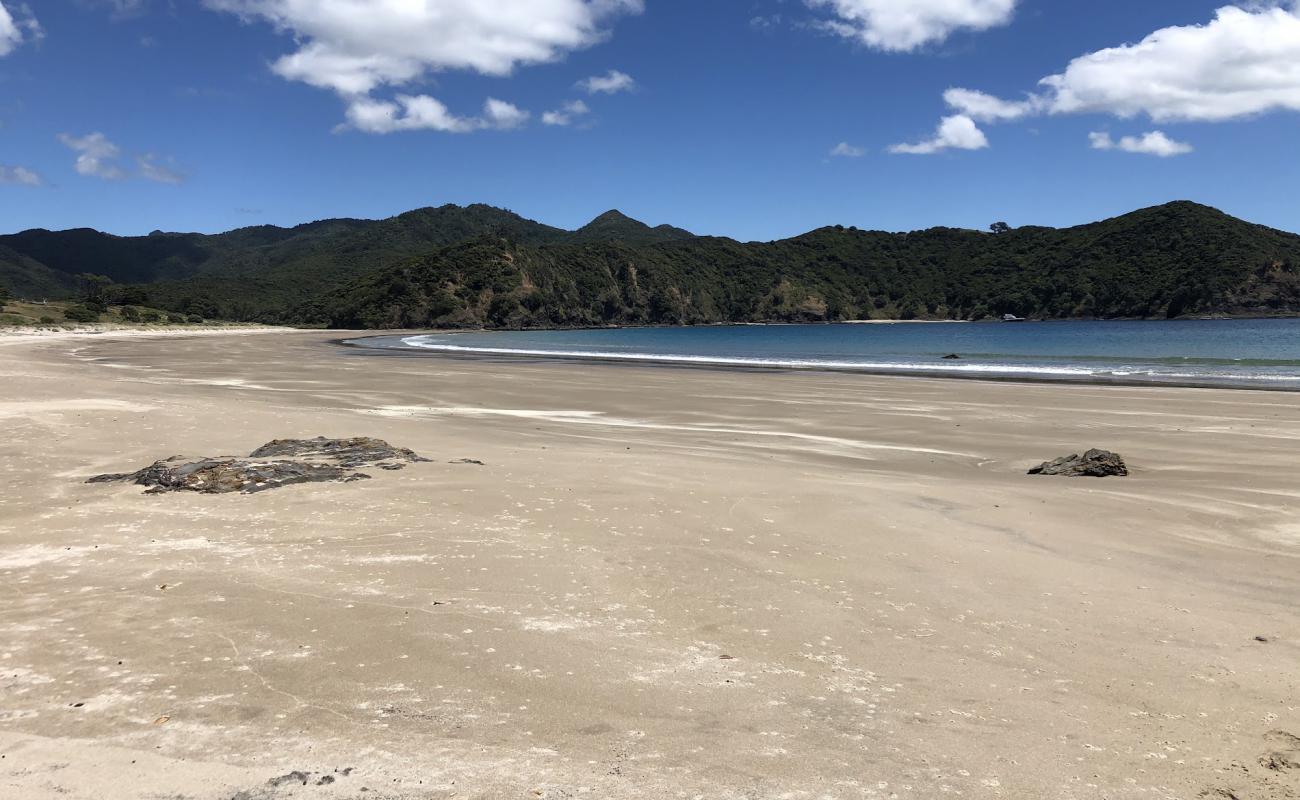 Photo de Harataonga Bay Beach avec sable beige de surface