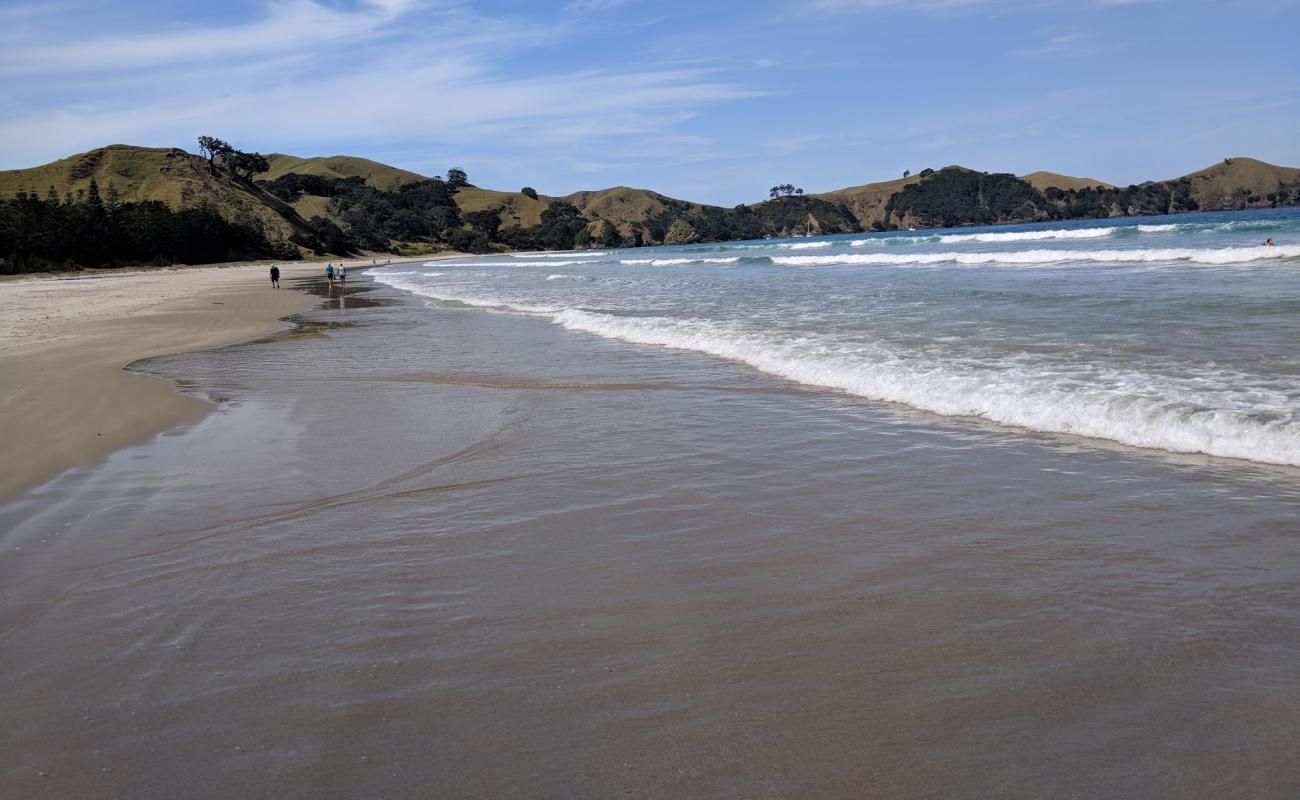 Photo de Whangapoua Bay avec sable lumineux de surface