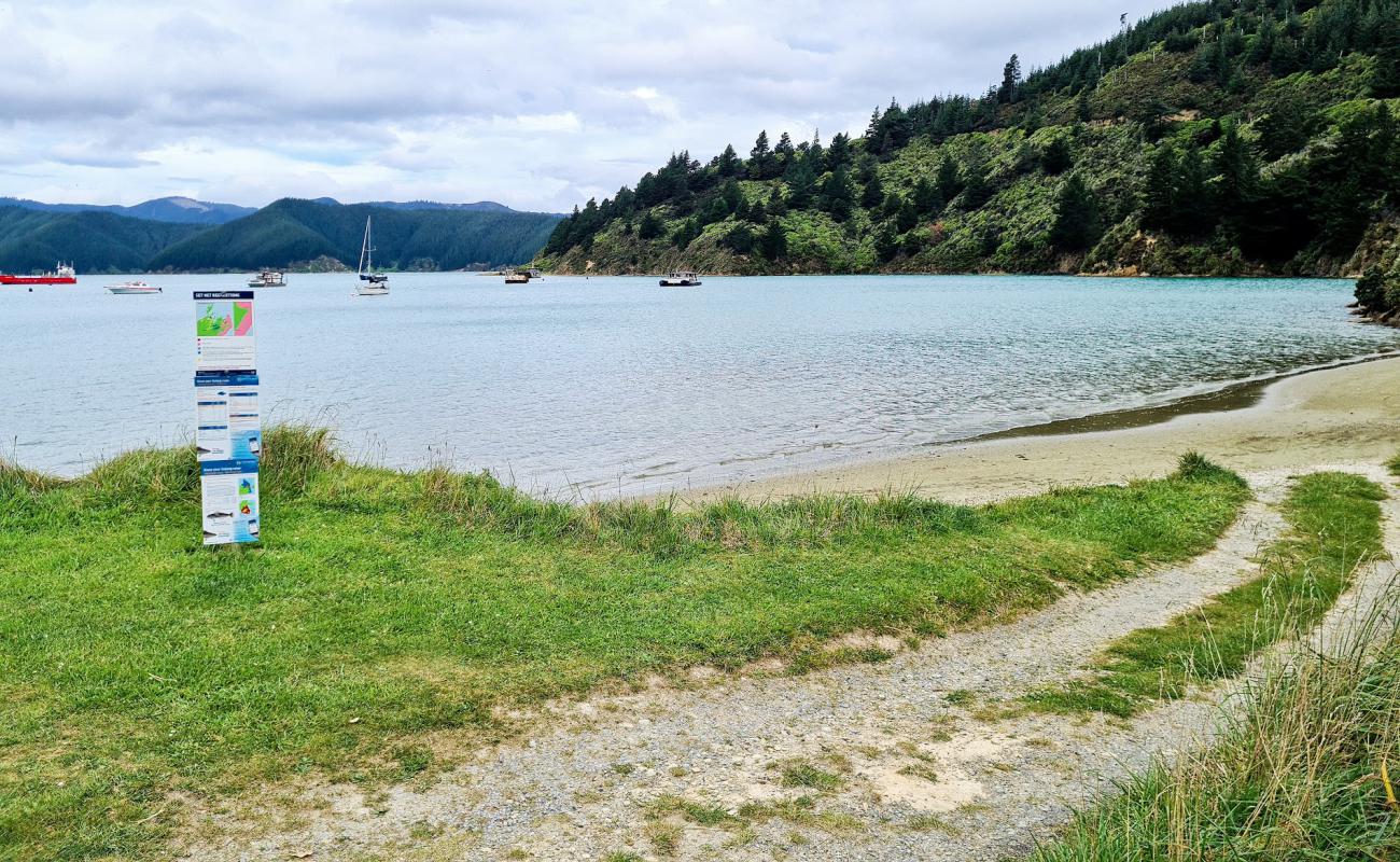 Photo de Oyster Bay Beach avec sable clair avec caillou de surface