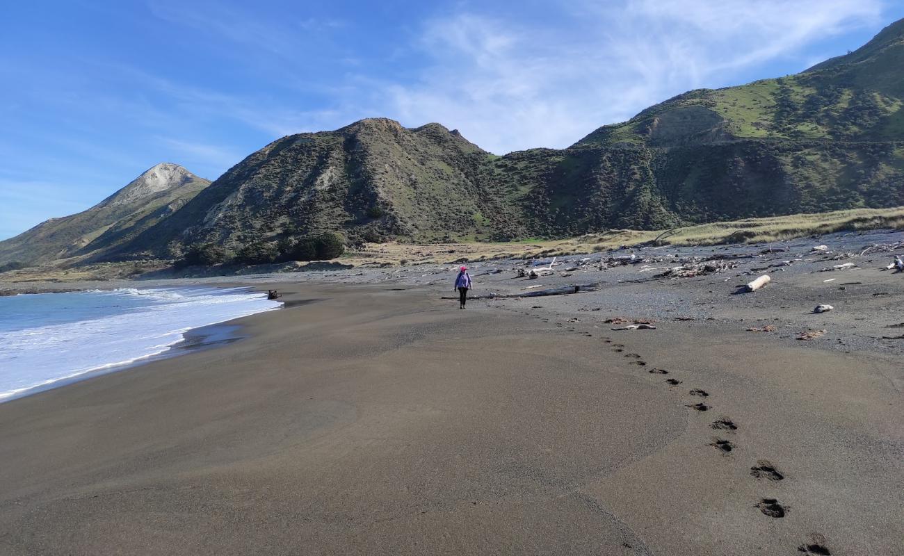 Photo de Ward Beach avec caillou fin gris de surface