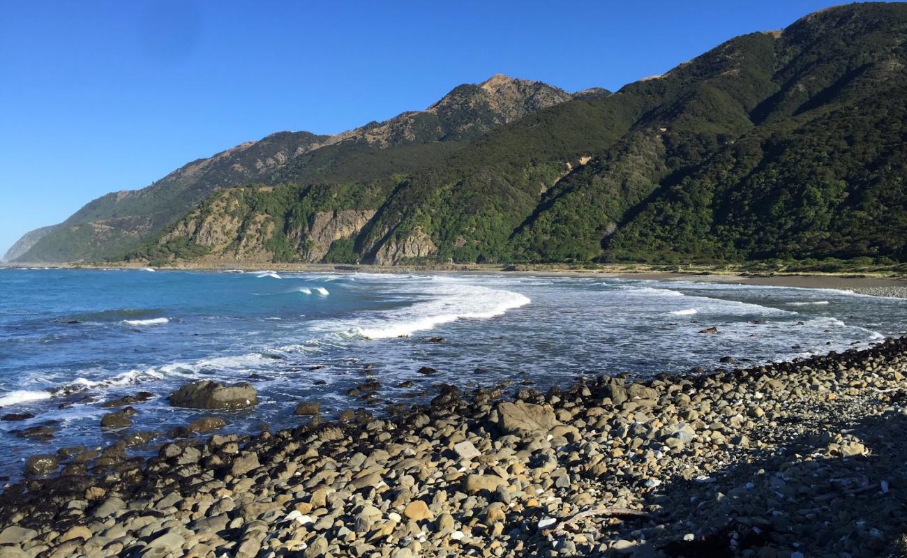 Photo de Okiwi Bay Beach avec terrain rocheux de surface