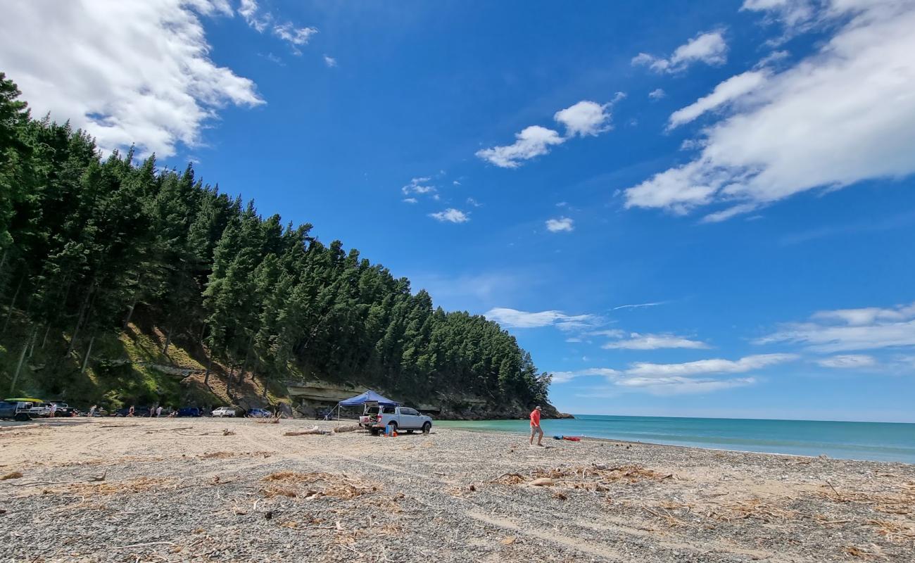 Photo de Teviotdale Beach avec sable beige & galets de surface