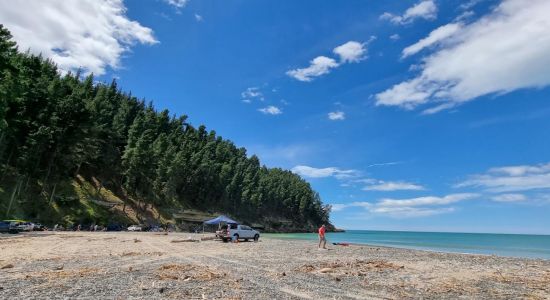 Teviotdale Beach