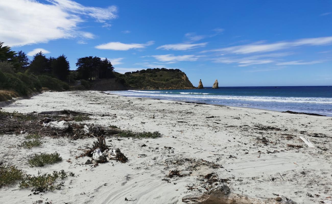 Photo de Karitane Beach avec sable lumineux de surface