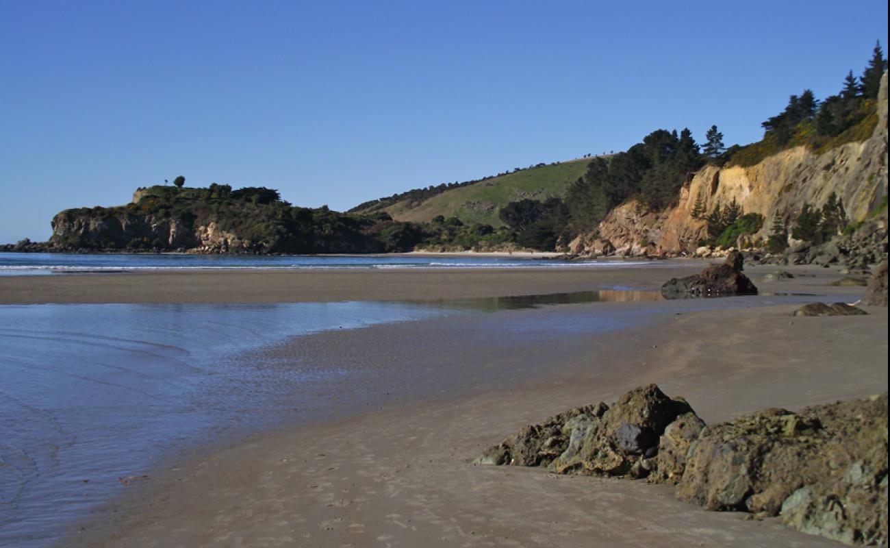 Photo de Purakaunui Beach avec sable lumineux de surface