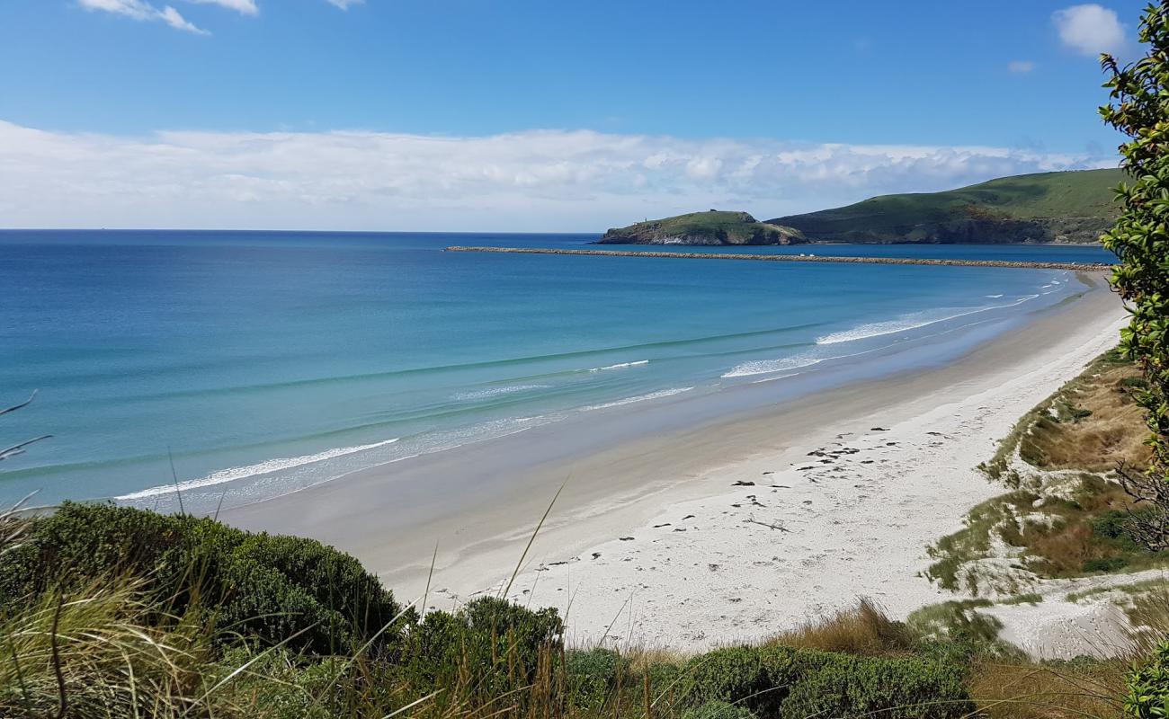 Photo de Aramoana Beach avec sable beige de surface