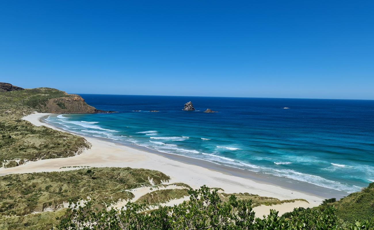 Photo de Sandfly Bay Beach avec sable beige fin de surface