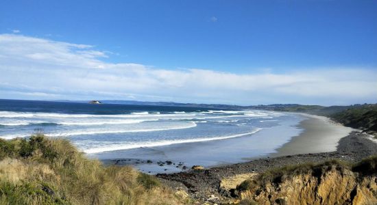 Blackhead Surfing Beach