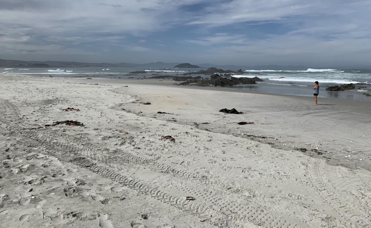 Photo de Taieri Mouth Beach avec sable beige de surface