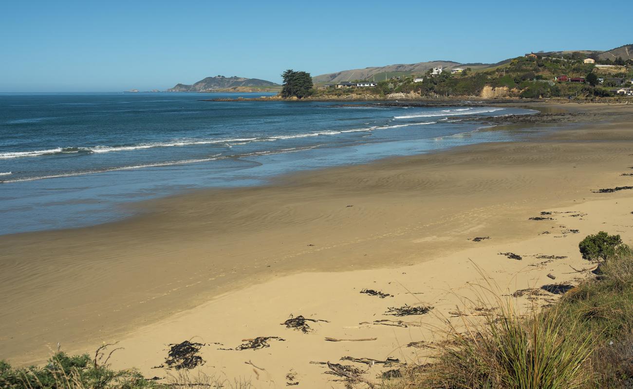 Photo de Kaka Point Beach avec sable lumineux de surface