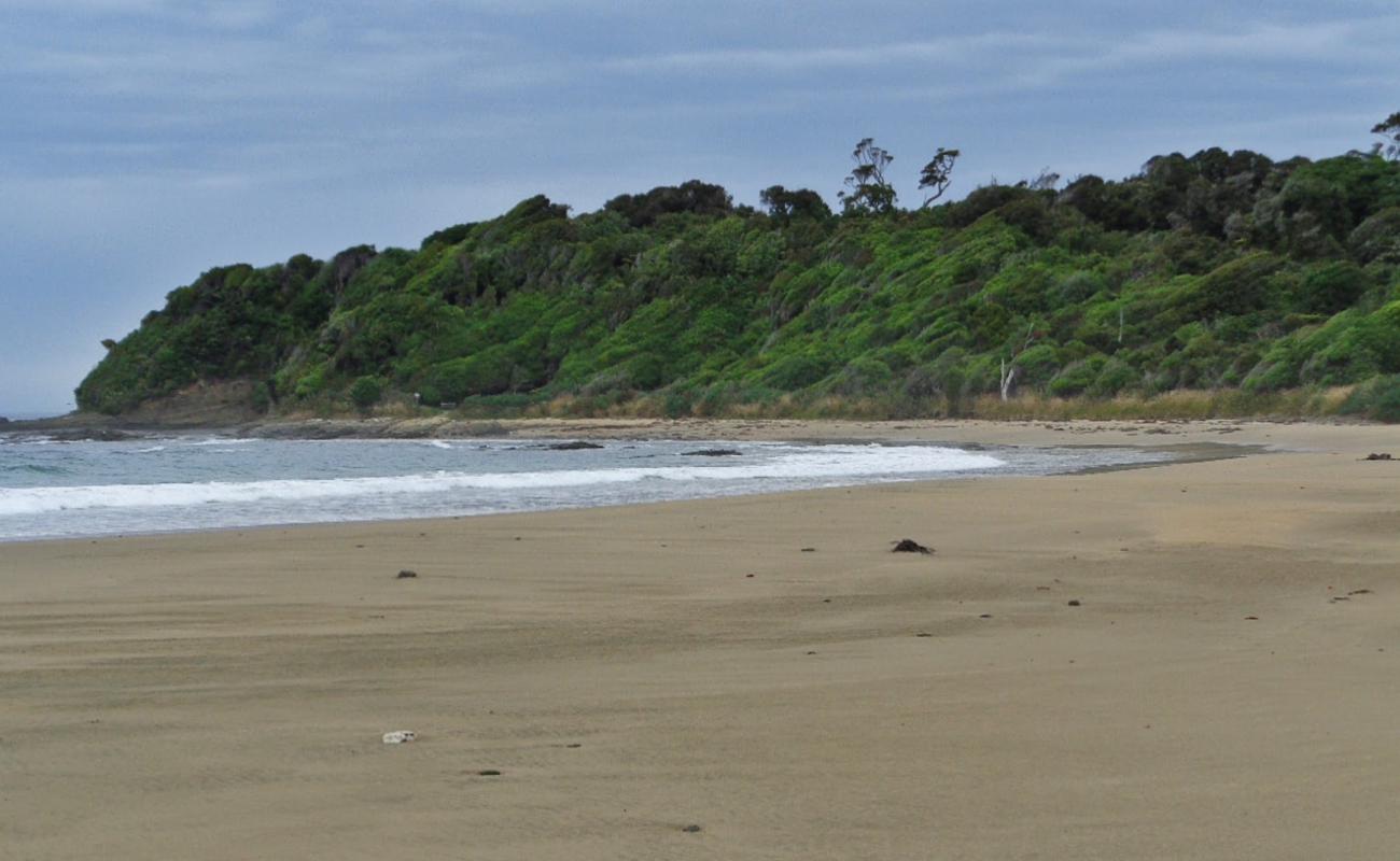 Photo de Tahakopa Beach avec sable lumineux de surface