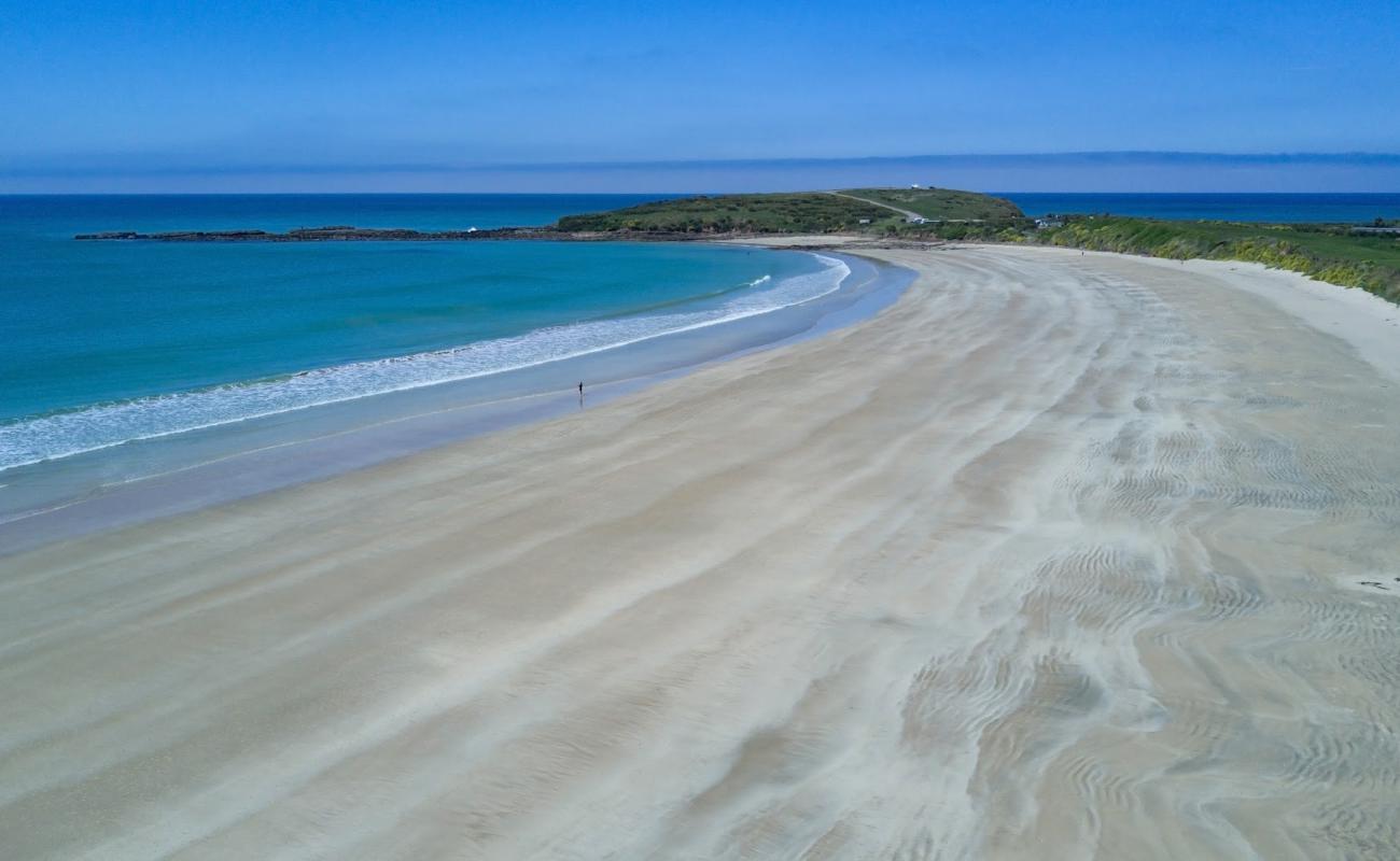 Photo de Curio Bay avec sable fin et lumineux de surface