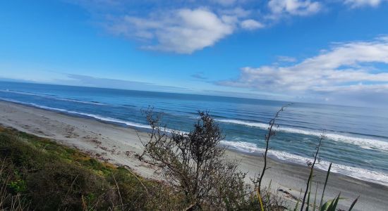 Point Elizabeth Beach