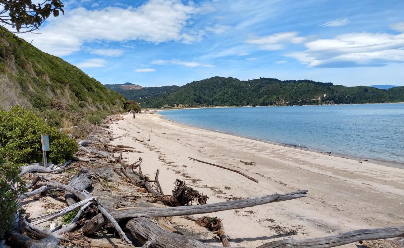 Photo de Wainui Beach avec sable beige de surface