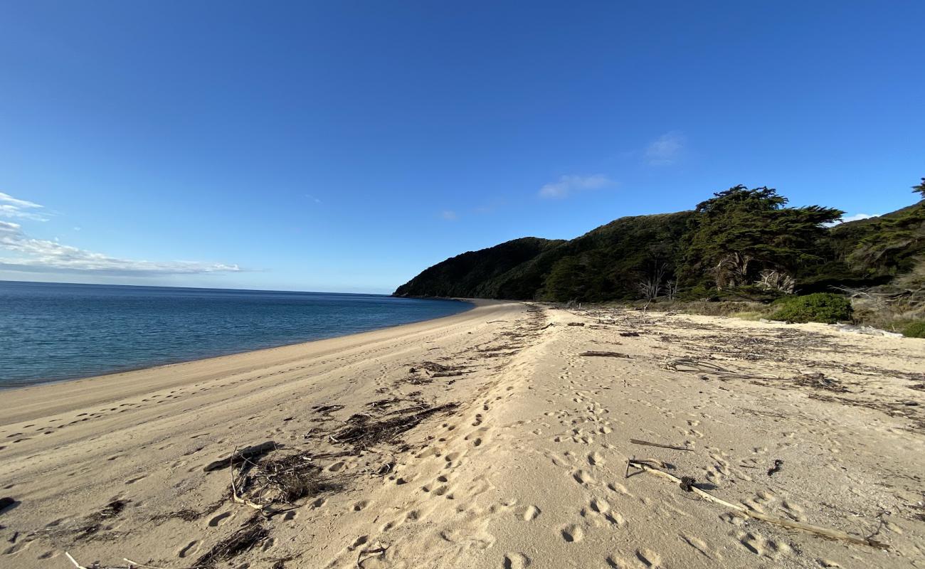 Photo de Whariwharangi Beach avec sable beige de surface