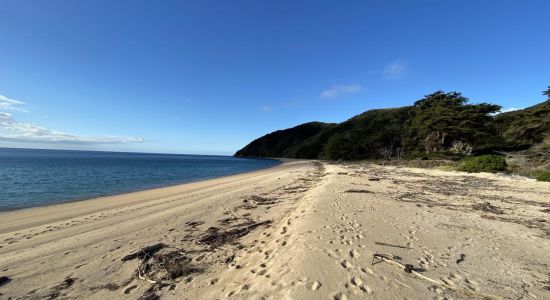 Whariwharangi Beach