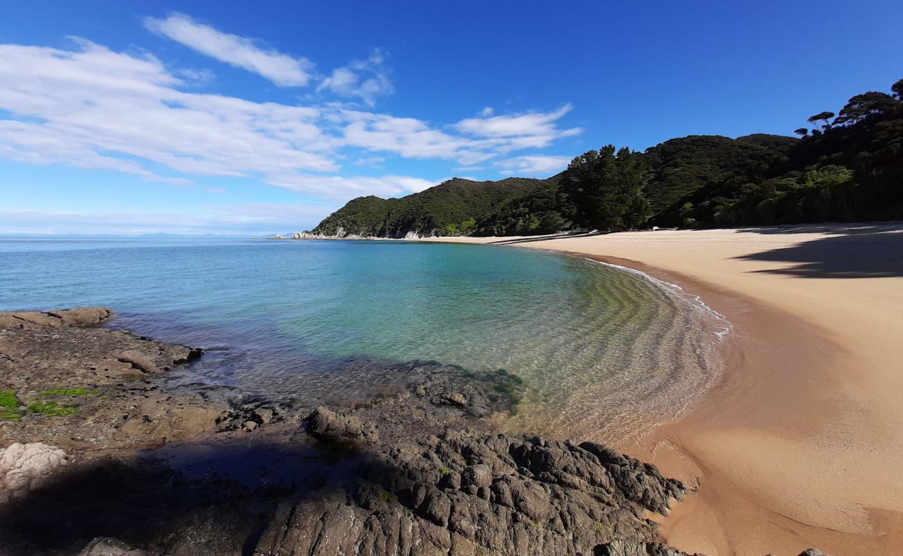 Photo de Mutton Beach avec sable beige de surface