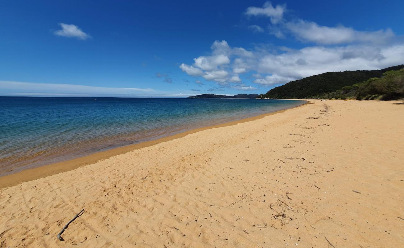 Photo de Totaranui Beach avec sable beige fin de surface