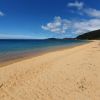 Totaranui Beach