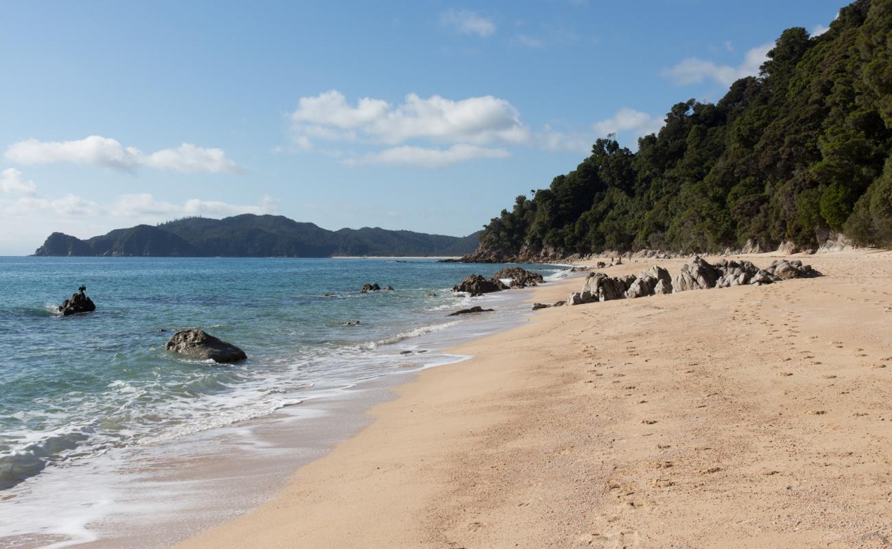 Photo de Goat Bay Beach avec sable fin et lumineux de surface