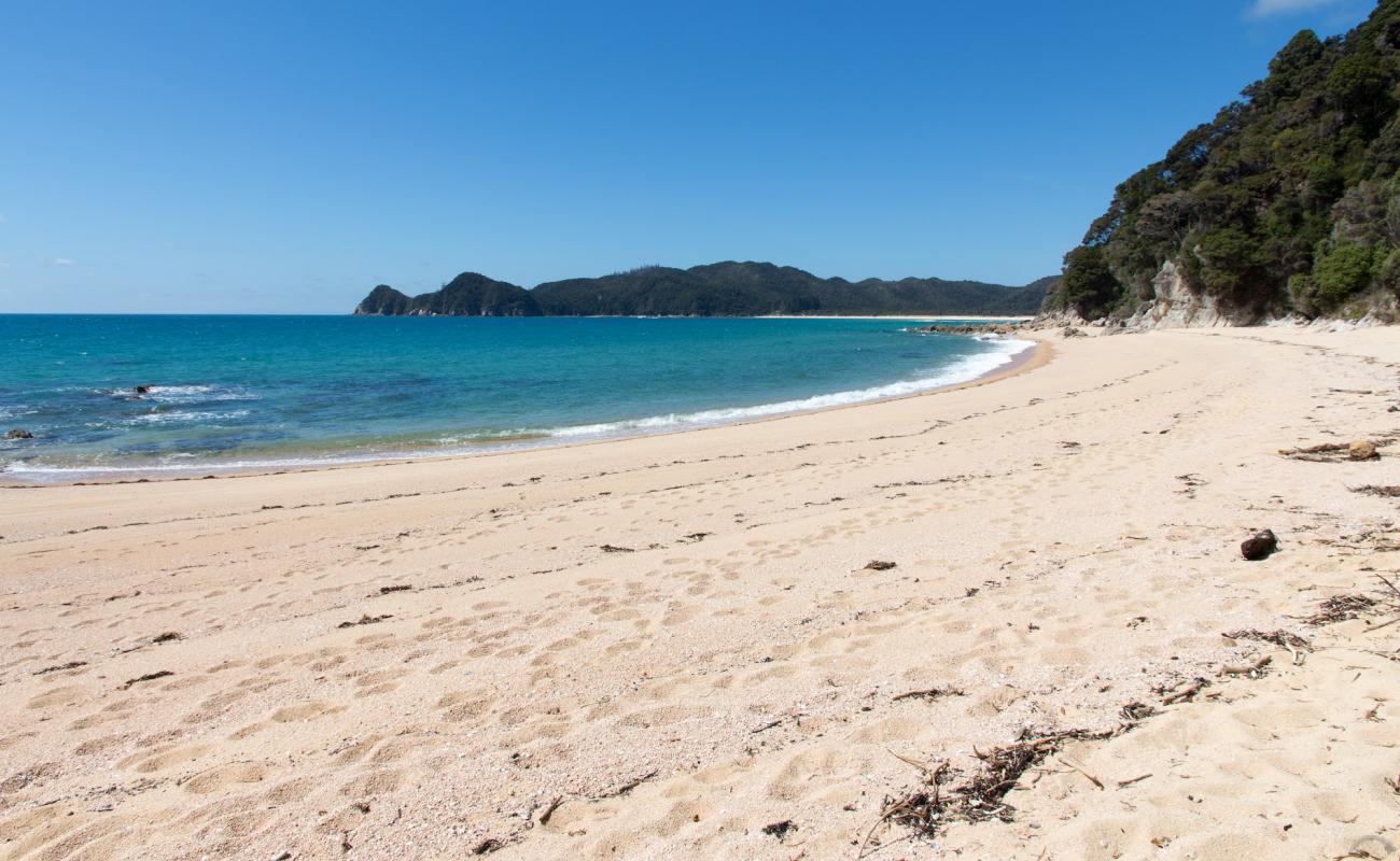 Photo de Waiharakeke Bay Beach avec sable fin et lumineux de surface