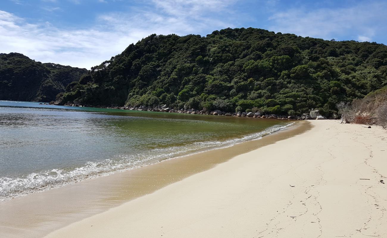 Photo de Awaroa Bay Beach avec sable beige fin de surface