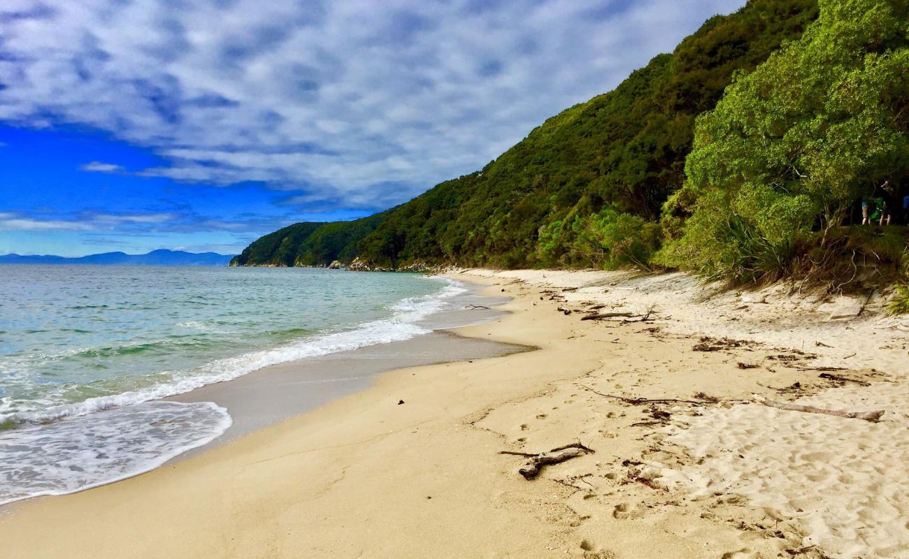 Photo de Tonga Quarry Beach avec sable fin et lumineux de surface