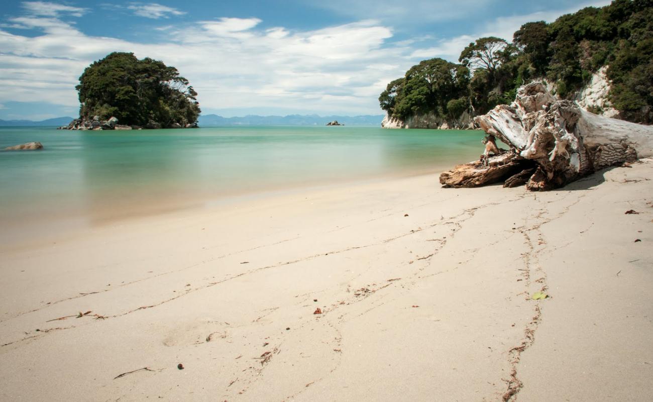 Photo de Mosquito Bay Beach avec sable lumineux de surface