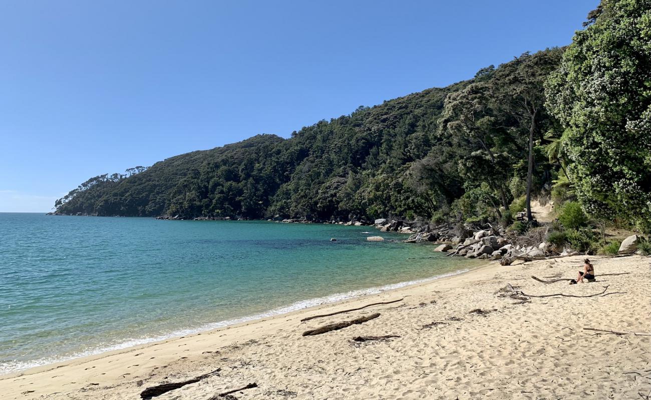 Photo de Bark Bay Beach avec sable fin et lumineux de surface