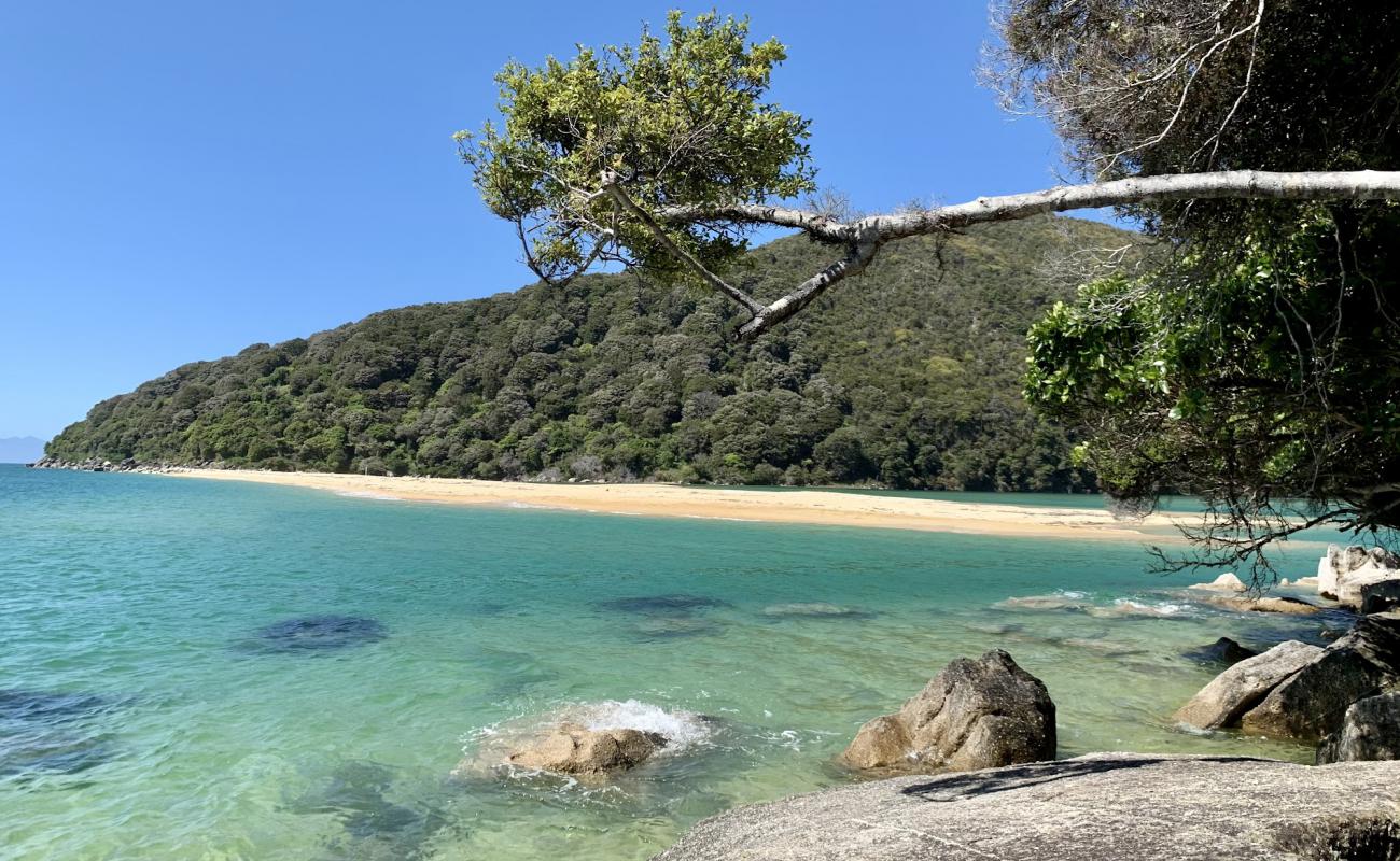 Photo de Falls River Beach avec sable fin et lumineux de surface