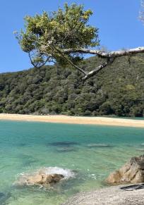 Torrent Bay