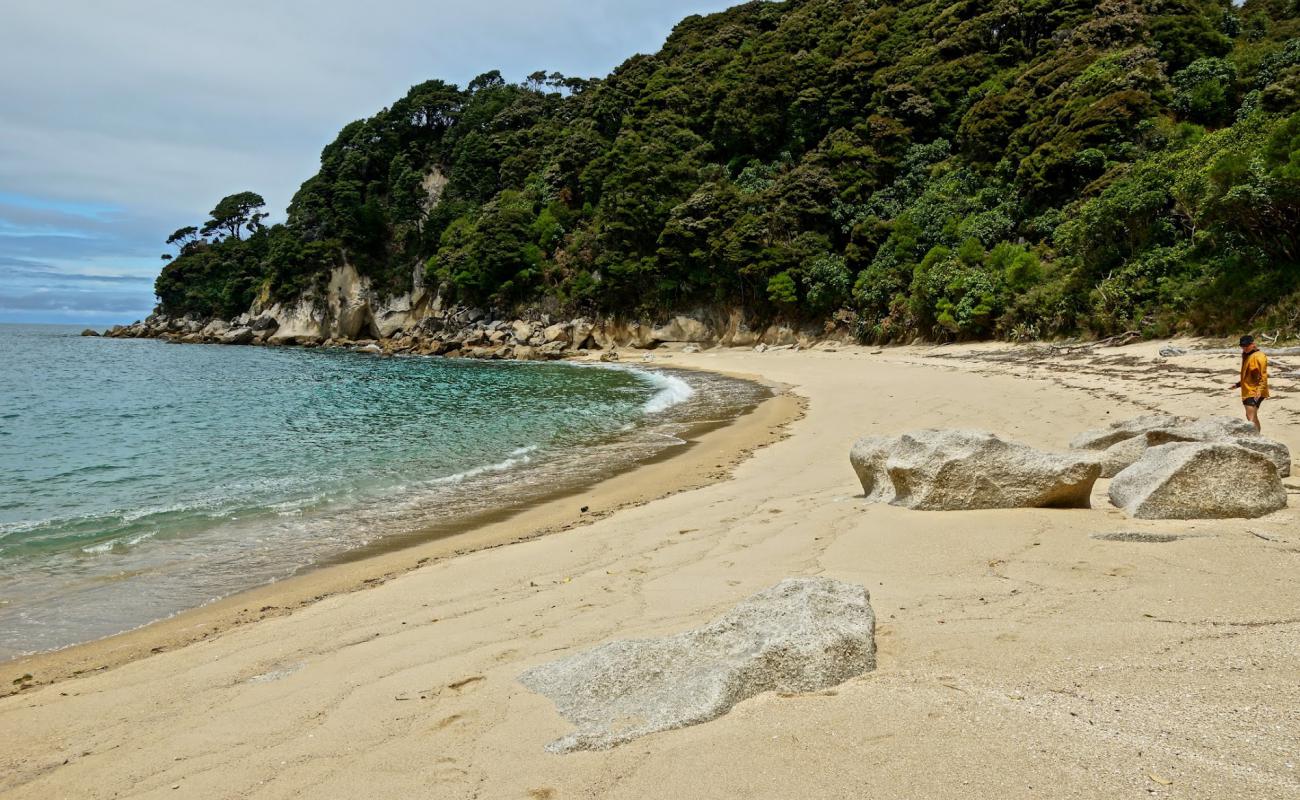 Photo de Torrent Bay Beach I avec sable fin et lumineux de surface