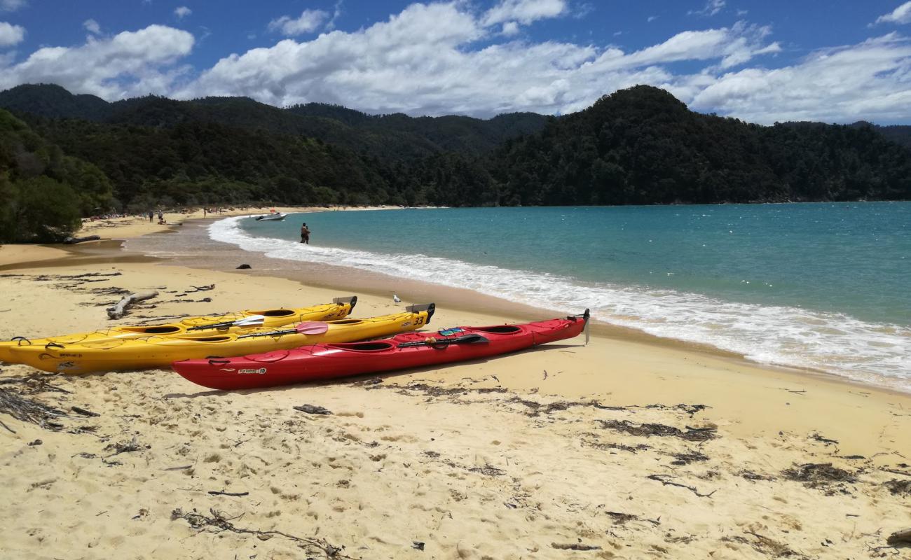Photo de Anchorage Bay Abel Tasman avec sable beige fin de surface
