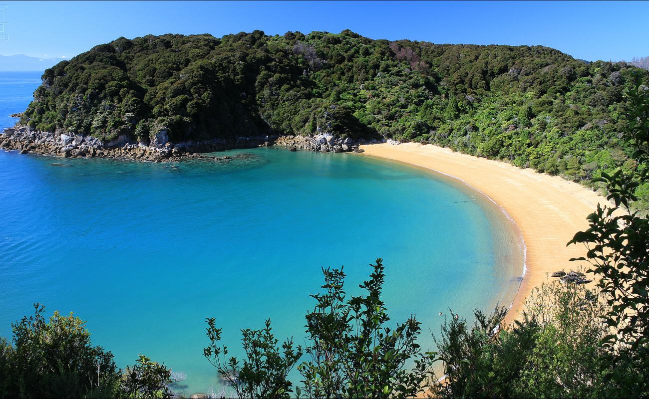 Photo de Te Pukatea Beach avec sable fin et lumineux de surface